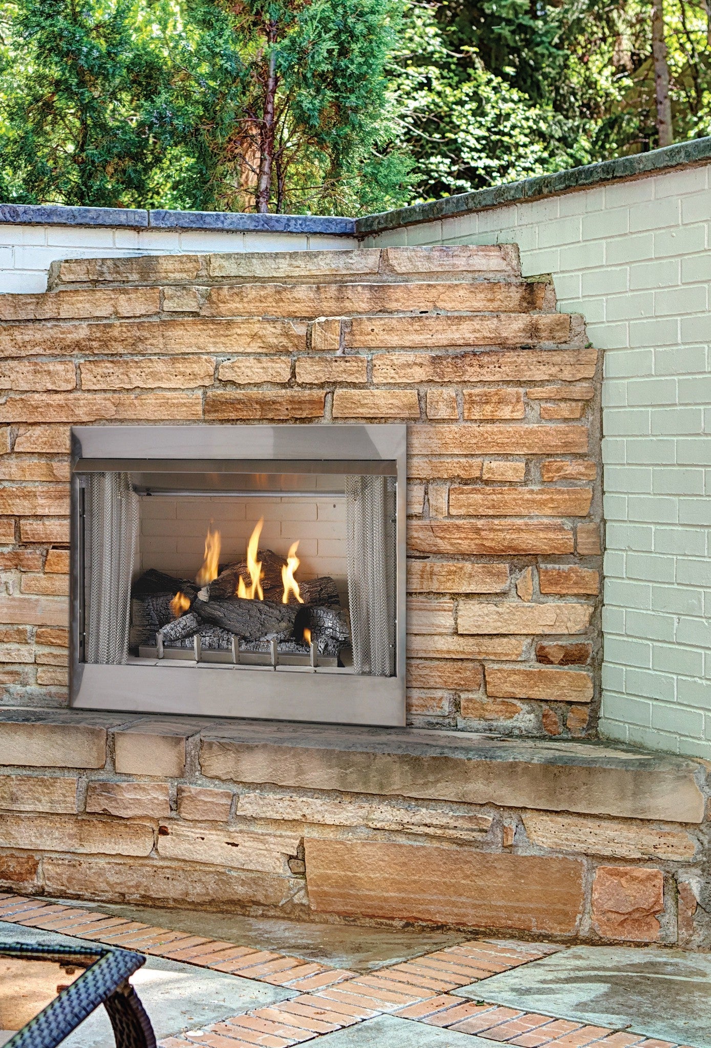 Empire Carol Rose Coastal 42" Stainless Steel Millivolt Control, Propane Gas Traditional Premium Outdoor Fireplace
