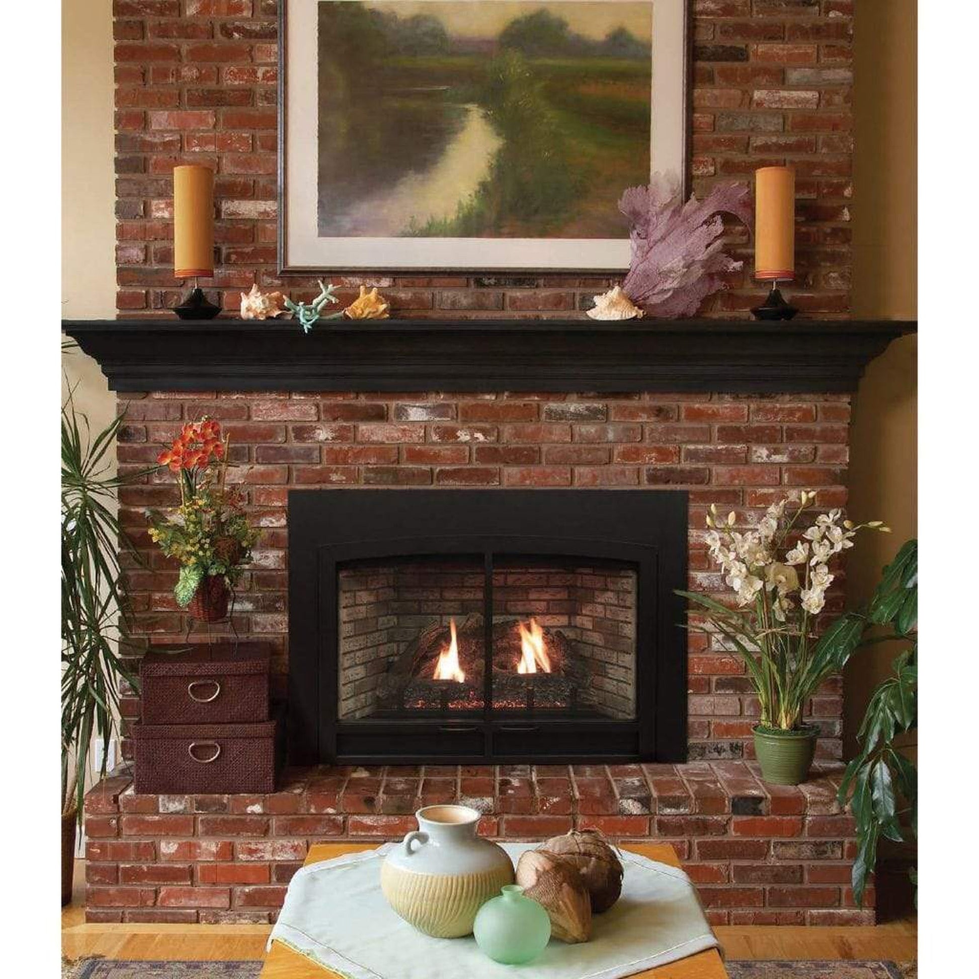 Empire Innsbrook 28" Small Direct Vent Clean Face Millivolt Control, Natural Gas Traditional Fireplace Insert